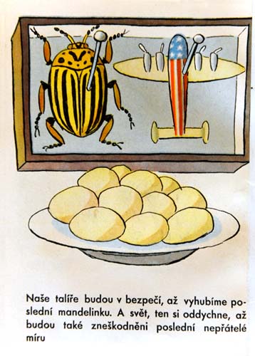 Z knihy: O zlém brouku bramborouku. O mandelince americké, která chce loupit z našich talířů (1950)