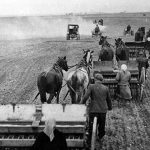 1950: Společný osev členů JZD Mělnické Vtelno na okrese Mělník (Foto zdroj: Národní zemědělské muzeum)