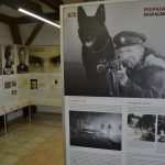 Výstava Králové Šumavy v Muzeu Šumavy v Dobré Vodě u Sušice