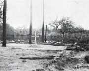 VZPOMÍNKA: David Svoboda o vypálení obce Český Malín