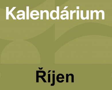 VÝROČÍ PRÁVĚ DNES