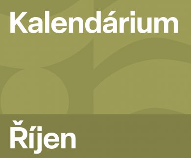 VÝROČÍ PRÁVĚ DNES